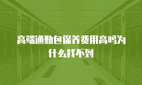 高端通勤包保养费用高吗为什么找不到