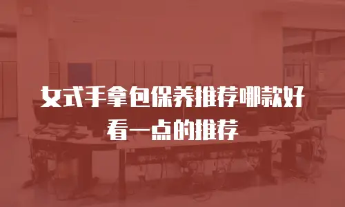 女式手拿包保养推荐哪款好看一点的推荐
