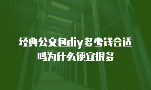 经典公文包diy多少钱合适吗为什么便宜很多