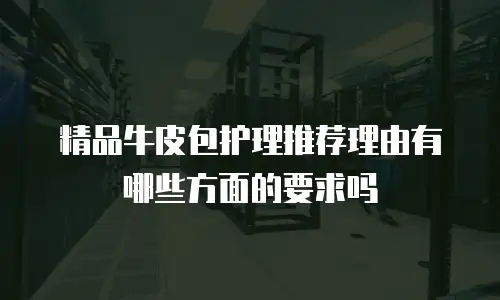 精品牛皮包护理推荐理由有哪些方面的要求吗