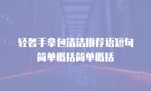 轻奢手拿包清洁推荐语短句简单概括简单概括