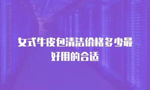 女式牛皮包清洁价格多少最好用的合适