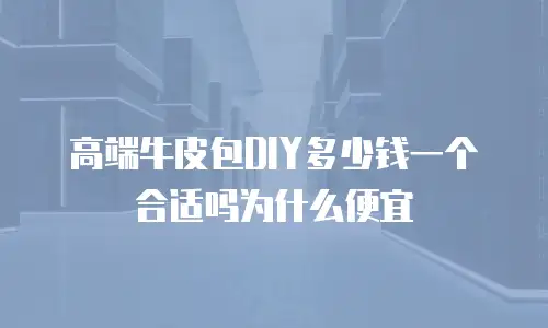 高端牛皮包DIY多少钱一个合适吗为什么便宜