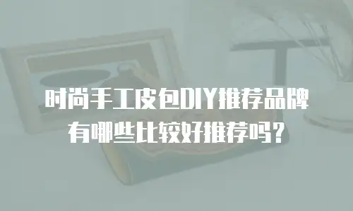 时尚手工皮包DIY推荐品牌有哪些比较好推荐吗？