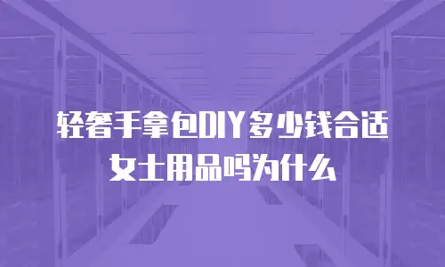 轻奢手拿包DIY多少钱合适女士用品吗为什么