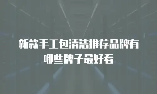 新款手工包清洁推荐品牌有哪些牌子最好看