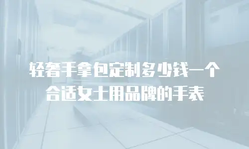 轻奢手拿包定制多少钱一个合适女士用品牌的手表