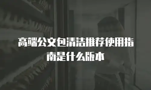 高端公文包清洁推荐使用指南是什么版本