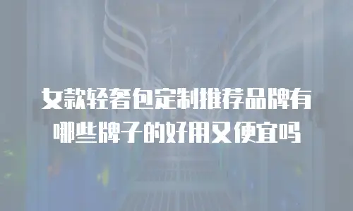 女款轻奢包定制推荐品牌有哪些牌子的好用又便宜吗