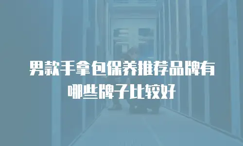 男款手拿包保养推荐品牌有哪些牌子比较好