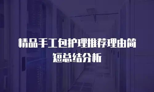 精品手工包护理推荐理由简短总结分析