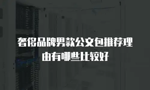 奢侈品牌男款公文包推荐理由有哪些比较好