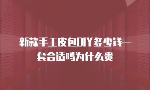 新款手工皮包DIY多少钱一套合适吗为什么贵