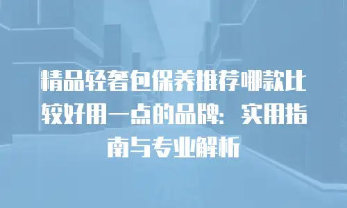 精品轻奢包保养推荐哪款比较好用一点的品牌：实用指南与专业解析
