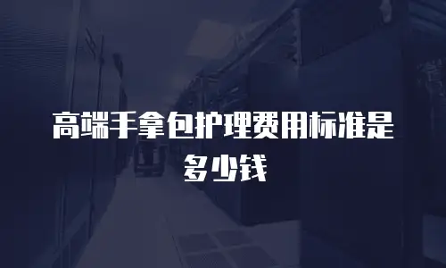 高端手拿包护理费用标准是多少钱