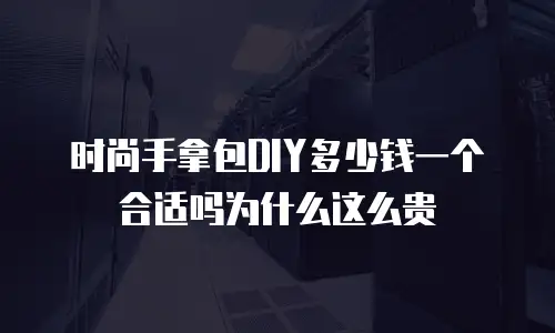 时尚手拿包DIY多少钱一个合适吗为什么这么贵