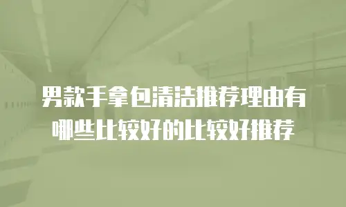 男款手拿包清洁推荐理由有哪些比较好的比较好推荐