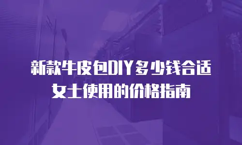 新款牛皮包DIY多少钱合适女士使用的价格指南