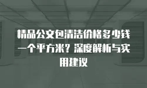 精品公文包清洁价格多少钱一个平方米？深度解析与实用建议