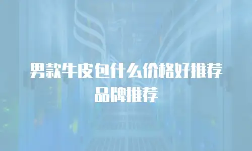 男款牛皮包什么价格好推荐品牌推荐