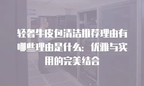 轻奢牛皮包清洁推荐理由有哪些理由是什么：优雅与实用的完美结合