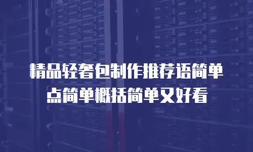 精品轻奢包制作推荐语简单点简单概括简单又好看