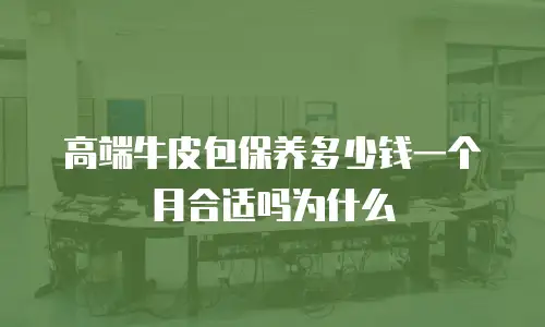 高端牛皮包保养多少钱一个月合适吗为什么