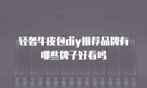 轻奢牛皮包diy推荐品牌有哪些牌子好看吗
