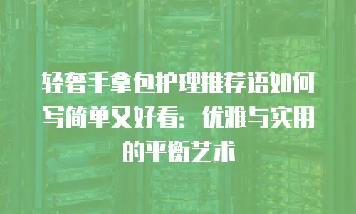 轻奢手拿包护理推荐语如何写简单又好看：优雅与实用的平衡艺术