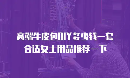 高端牛皮包DIY多少钱一套合适女士用品推荐一下