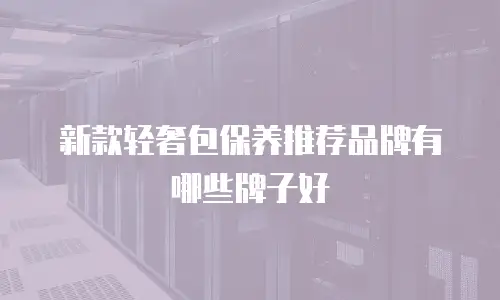 新款轻奢包保养推荐品牌有哪些牌子好