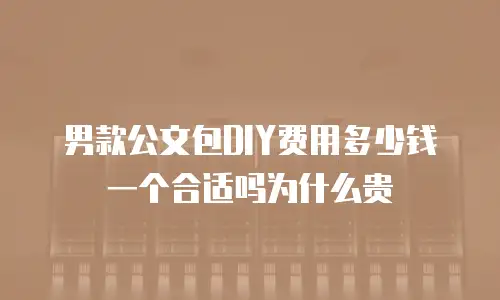 男款公文包DIY费用多少钱一个合适吗为什么贵
