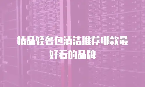 精品轻奢包清洁推荐哪款最好看的品牌