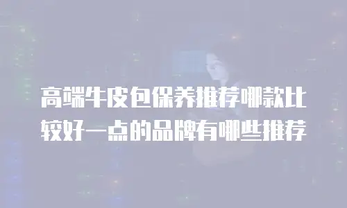 高端牛皮包保养推荐哪款比较好一点的品牌有哪些推荐