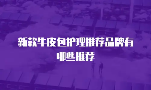 新款牛皮包护理推荐品牌有哪些推荐