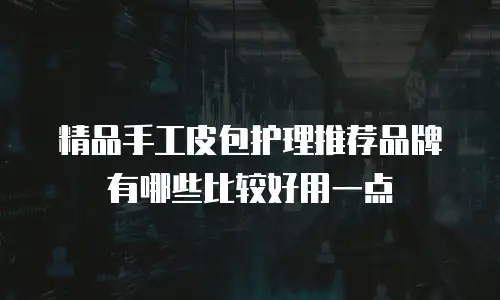精品手工皮包护理推荐品牌有哪些比较好用一点