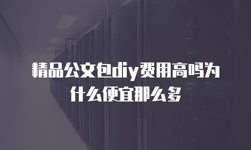 精品公文包diy费用高吗为什么便宜那么多