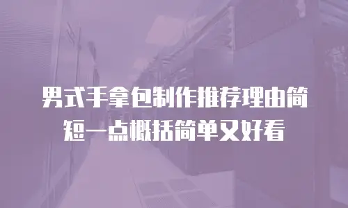 男式手拿包制作推荐理由简短一点概括简单又好看