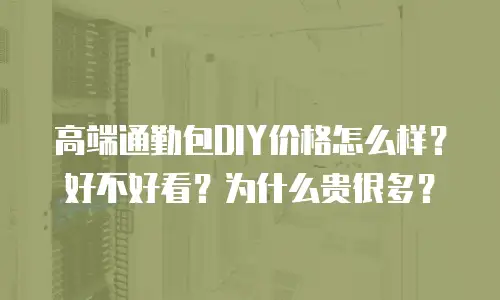 高端通勤包DIY价格怎么样？好不好看？为什么贵很多？