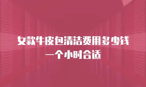 女款牛皮包清洁费用多少钱一个小时合适