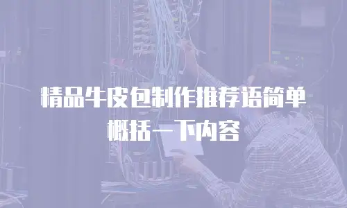 精品牛皮包制作推荐语简单概括一下内容