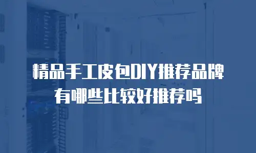 精品手工皮包DIY推荐品牌有哪些比较好推荐吗
