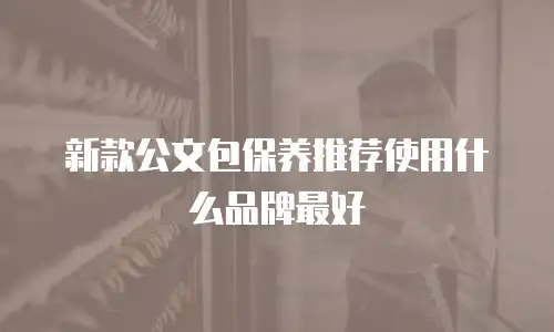 新款公文包保养推荐使用什么品牌最好