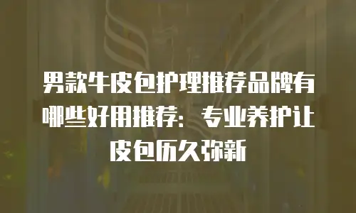 男款牛皮包护理推荐品牌有哪些好用推荐：专业养护让皮包历久弥新