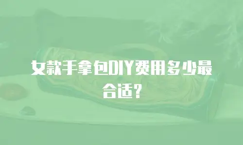 女款手拿包DIY费用多少最合适？
