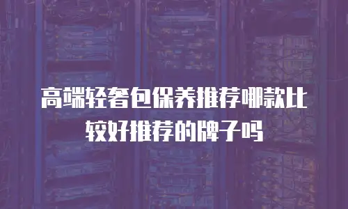 高端轻奢包保养推荐哪款比较好推荐的牌子吗