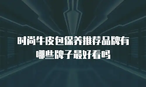 时尚牛皮包保养推荐品牌有哪些牌子最好看吗