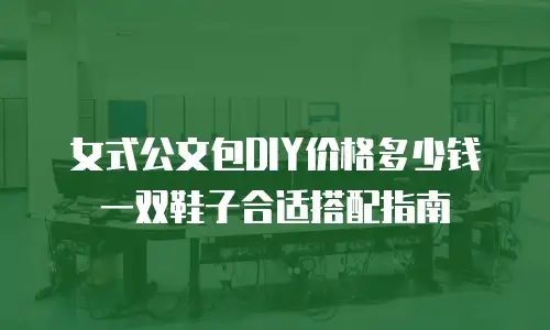 女式公文包DIY价格多少钱 一双鞋子合适搭配指南