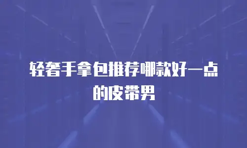 轻奢手拿包推荐哪款好一点的皮带男