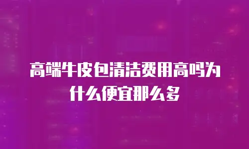 高端牛皮包清洁费用高吗为什么便宜那么多